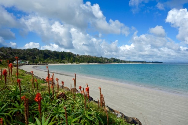 Le spiagge della Nuova Zelanda