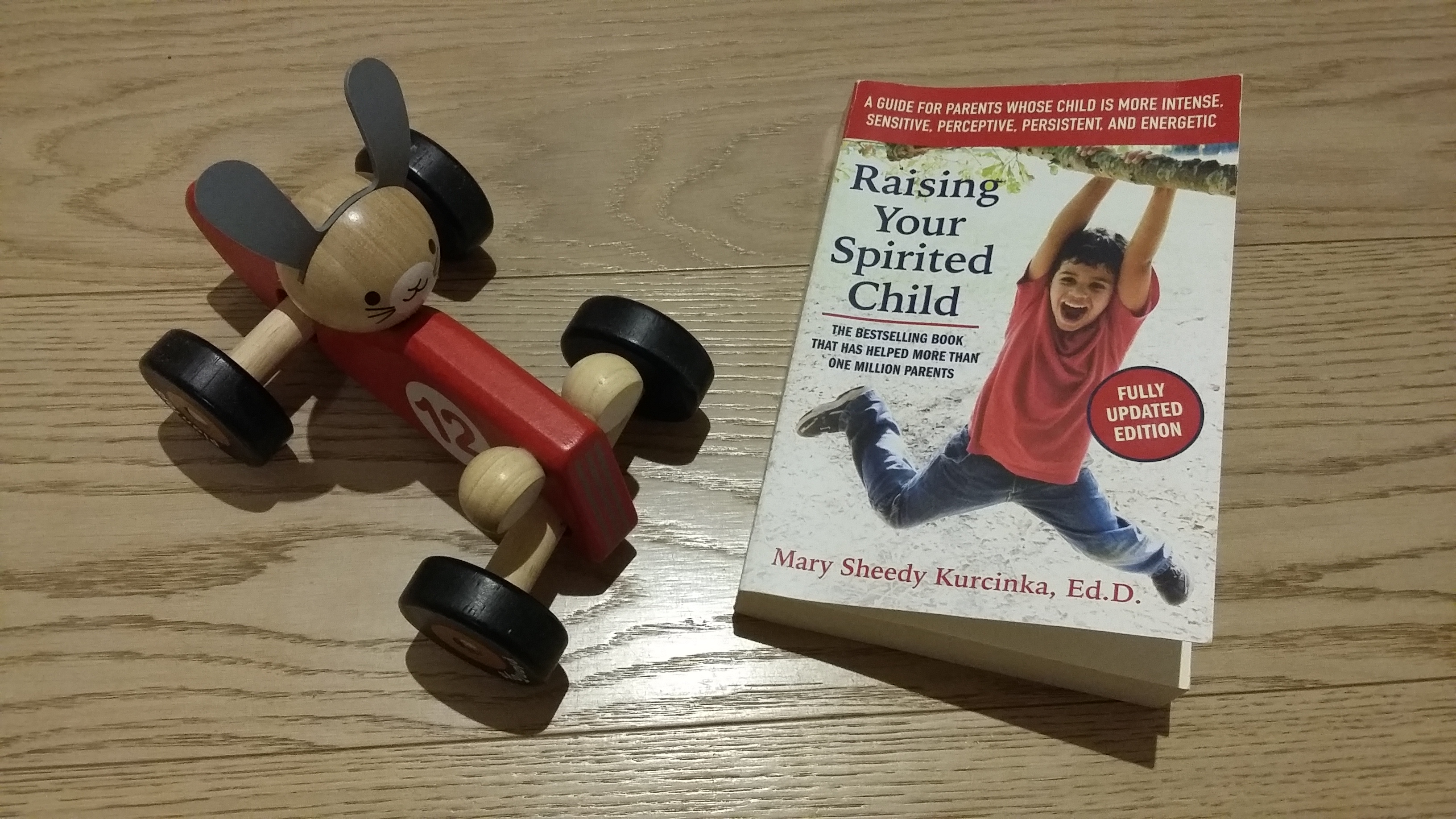 Raising your spirited child